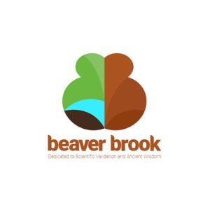 Beaver Brook USA